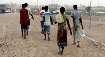IOM and Partners Seek USD 81 Million to Support Migrants in Africa and Yemen