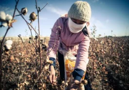 Forced Labor in Agriculture