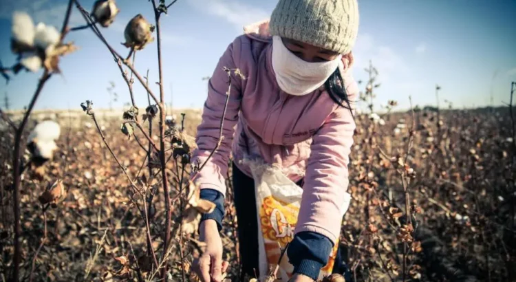 Forced Labor in Agriculture