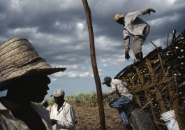 Reflections from Disposable People