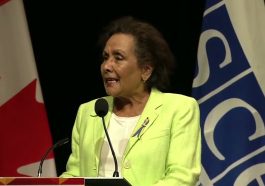 The OSCE Special Representative