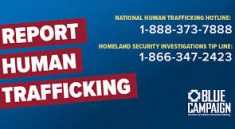 Reforming the National Human Trafficking Hotline