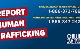 Reforming the National Human Trafficking Hotline