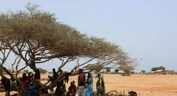 132 Vanished! Ethiopian Migrants Fall Victim to Deadly Trafficking Nightmare at Sea