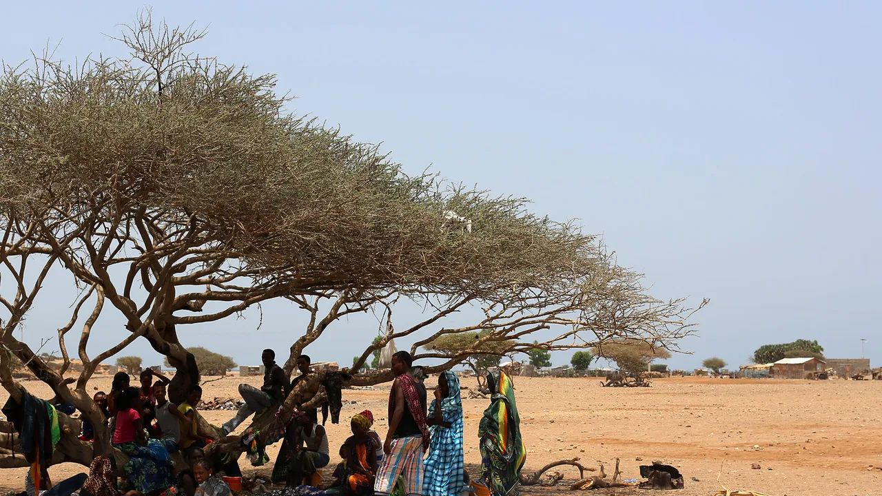 Ethiopian Migrants