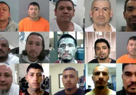 ICE Arrests 356 Gang Members