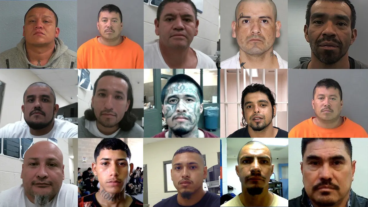 ICE Arrests 356 Gang Members