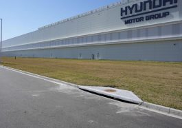 Massive Immigration Sweep