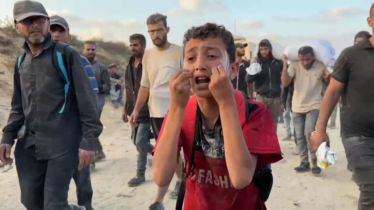 The Palestinians